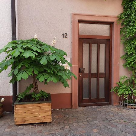 Alte Bahnhofstrasse 12 Apartment คาร์ลชตัดท์ ภายนอก รูปภาพ