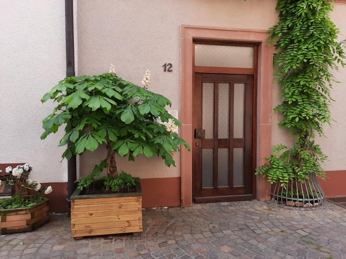 Alte Bahnhofstrasse 12 Apartment คาร์ลชตัดท์ ภายนอก รูปภาพ